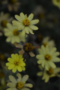 もの悲しくも強く ➂。。。! もの悲しくも強く ➂。。。!