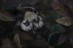 凍てつく路傍に生きる　②。。。！