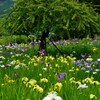山の花楽園　①。。。！