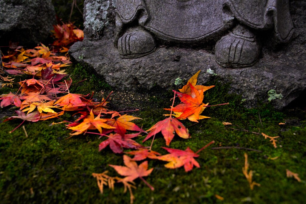 五百羅漢と刹那の秋　②。。。！