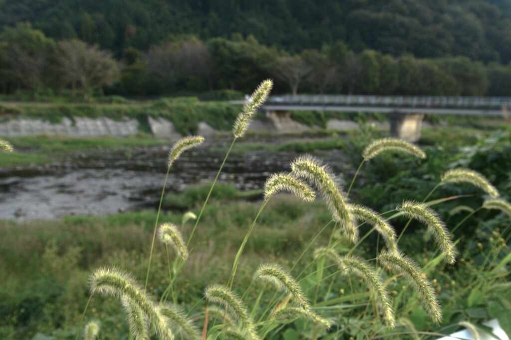 秋日和　➂。。。！