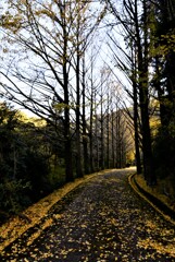 冬がはじまるよ。。。！