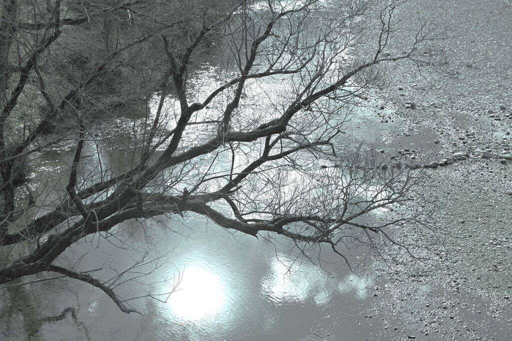 冬枯れの吊り橋　➂。。。！