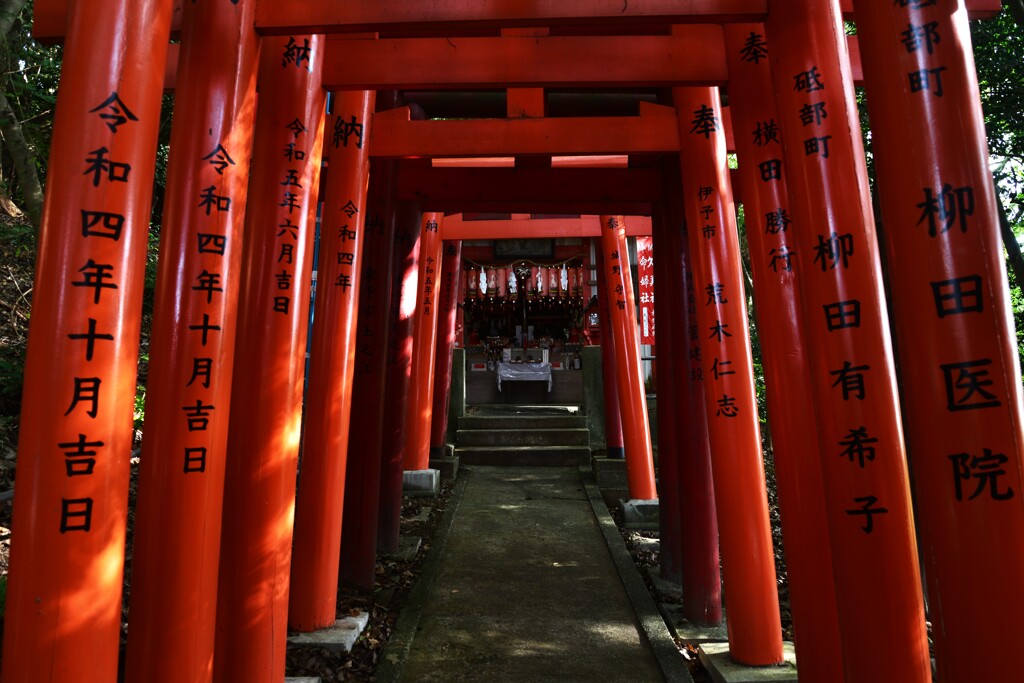 迷宮への誘い　②。。。！