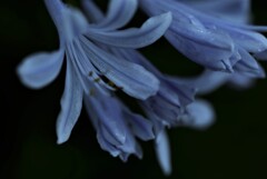 憂いの雨模様 ③。。。! 憂いの雨模様 ③。。。!