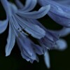憂いの雨模様　③。。。！