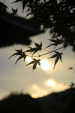 暮れてゆく秋空。。。！