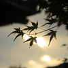 暮れてゆく秋空。。。！