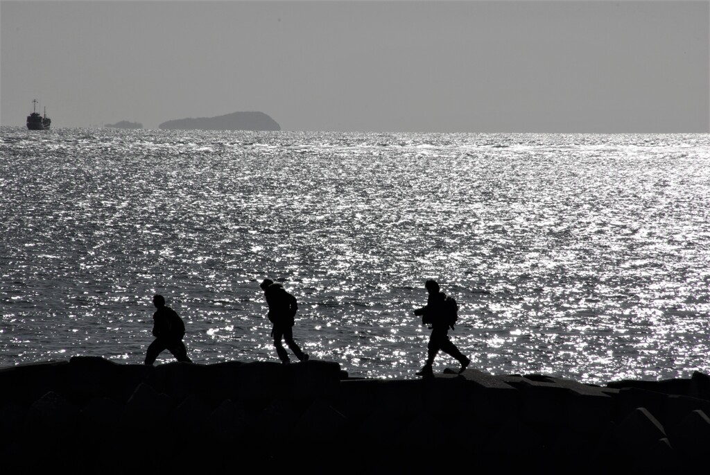 海に集う。。。！