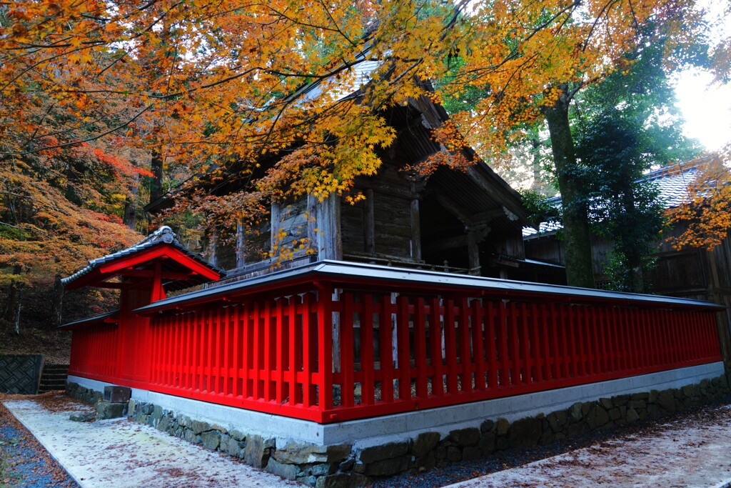 淋しい秋の終わり　②。。。！