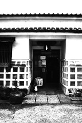 佐川．．酒蔵通り　⑥。。。！