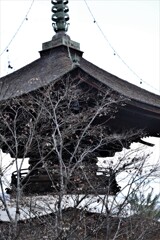 冬枯れて。。。！