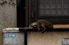 夢で逢いましょう。。。！