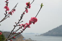 半島の春　②。。。！