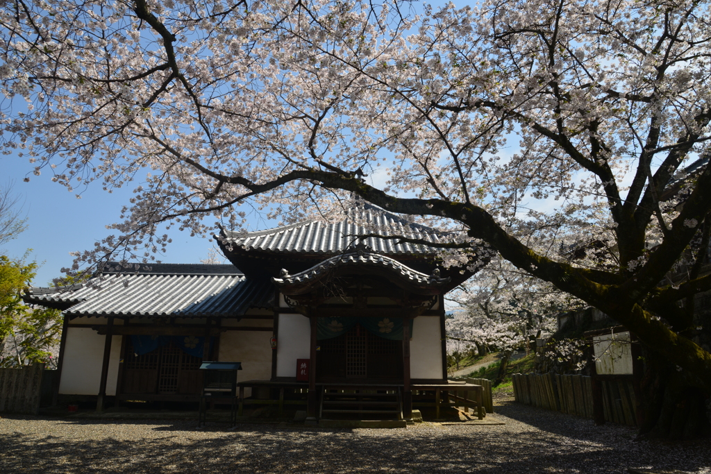 久妙寺．．贈る言葉　⑤。。。！