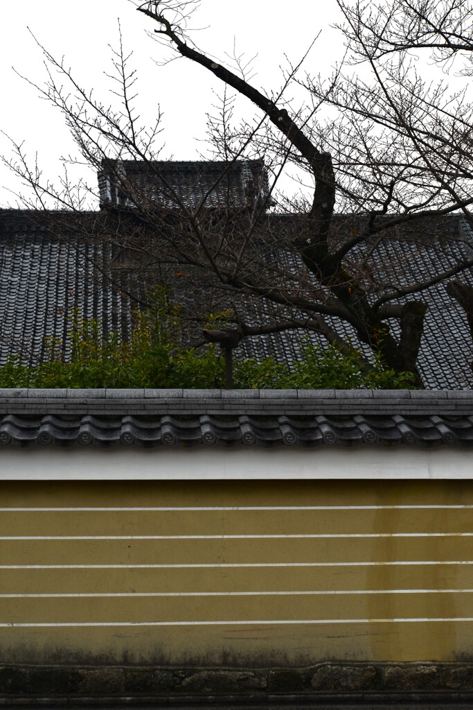 古都の雨風情　①。。。！