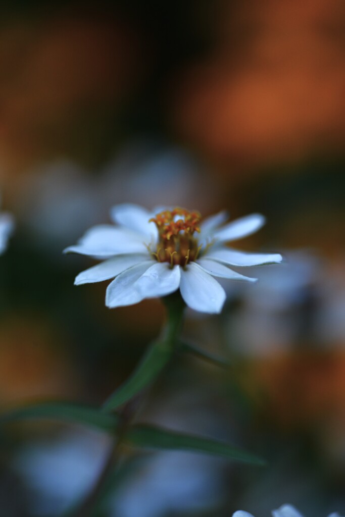 私の主張　①。。。！