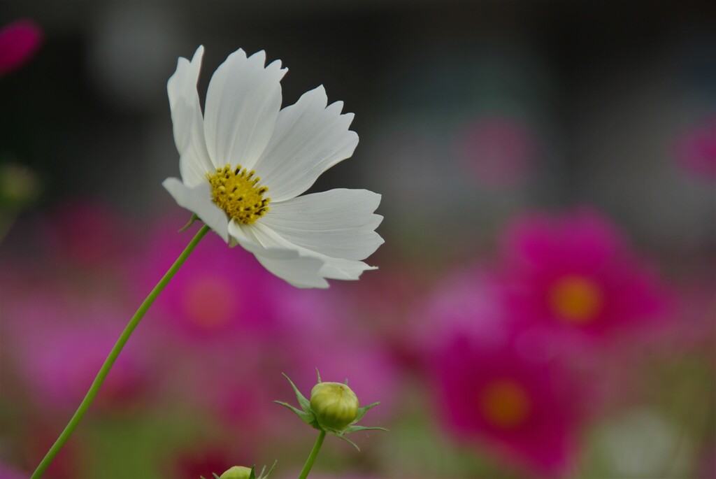 季節の讃歌。。。！