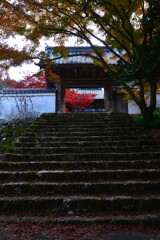 静寂の秋に浸る　①。。。！