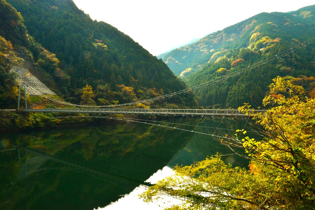 湖水を金色に染めて。。。！