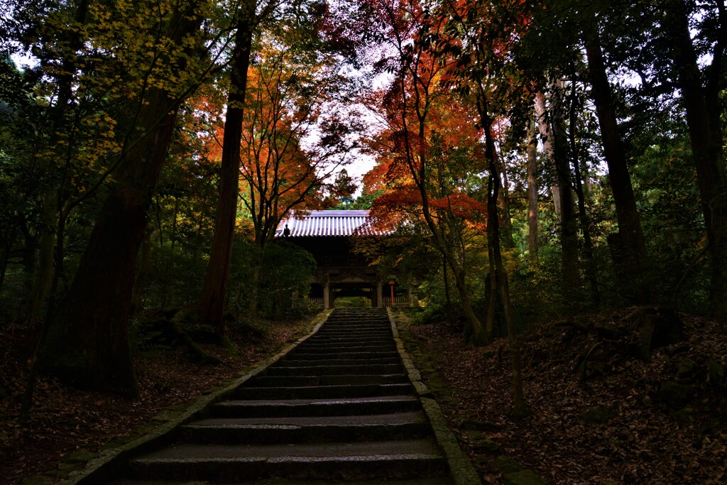 山門の紅葉。。。！