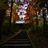 山門の紅葉。。。！