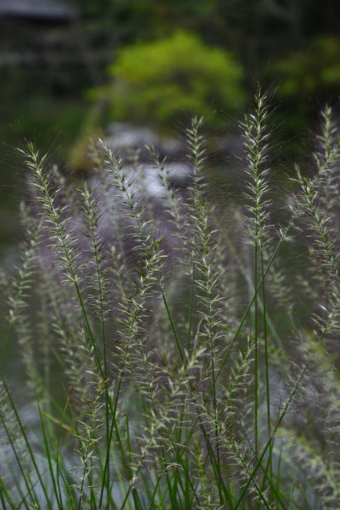 秋日和　②。。。！