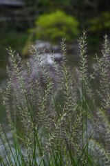 秋日和 ②。。。! 秋日和 ②。。。!