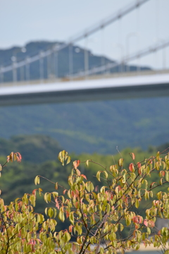 海峡に秋香り　➂。。。！