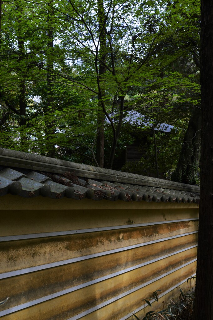 竹林寺の瓦塀。。。！