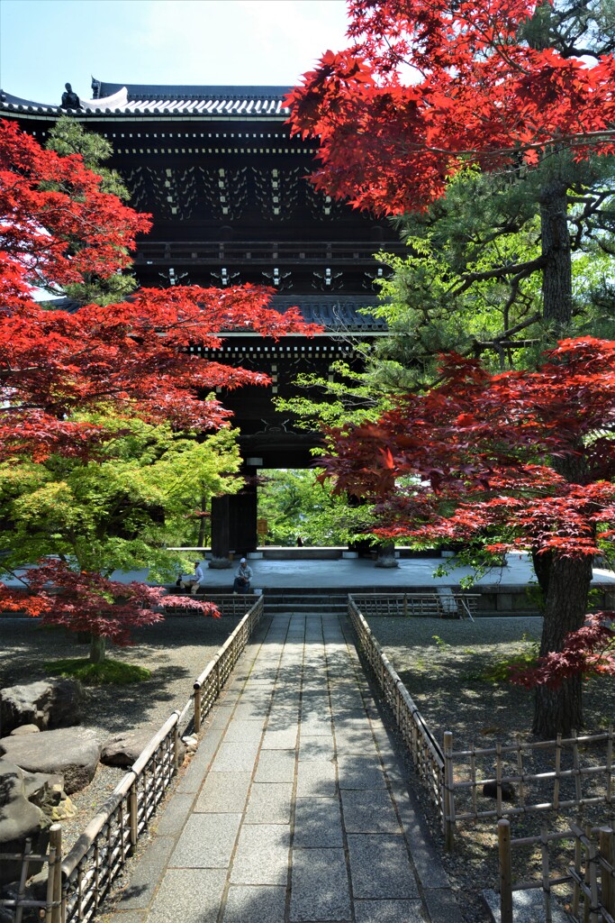 美しい山門　①。。。！