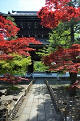 美しい山門　①。。。！