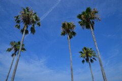 summer　beach　④。。。！