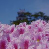 花に埋もれる城　⑤。。。！