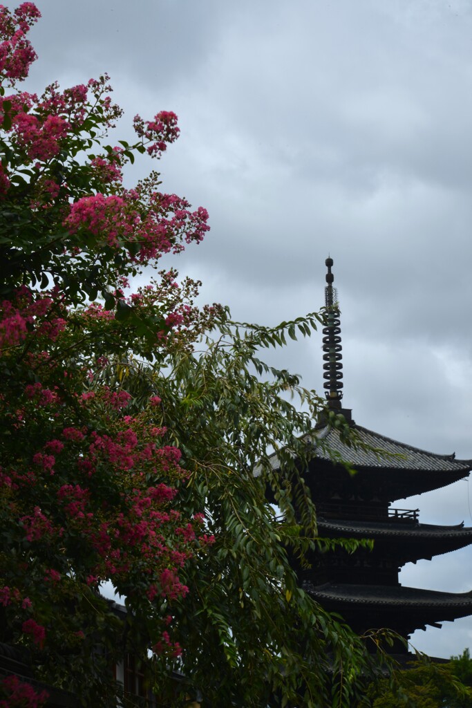 京都の夏　⑤。。。！