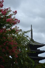 京都の夏　⑤。。。！