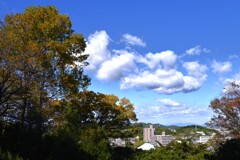 秋空百景　④。。。！