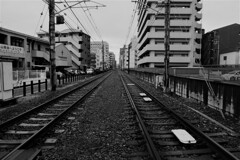 GWの悲劇　④。。。！