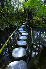 新緑の京都天授庵　②。。。！