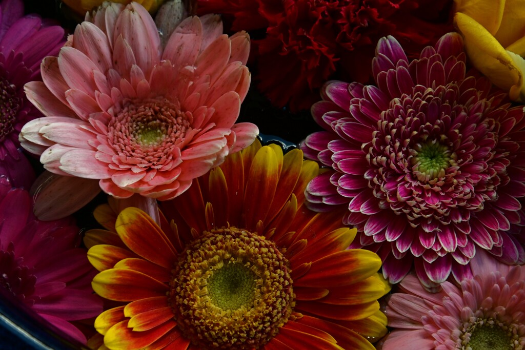 艶やかに　④。。。！