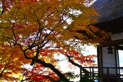 不老庵と紅葉　②。。。！