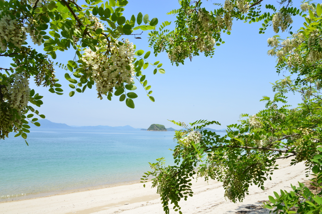 みどり降る浜辺　➂。。。！