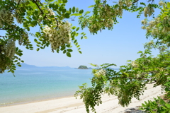 みどり降る浜辺　➂。。。！