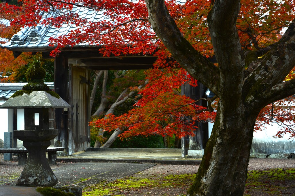 静寂の秋に浸る　➂。。。！