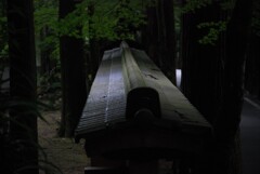 神秘へのいざない。。。！