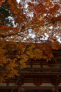 残秋の寺　⑥。。。！
