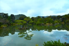 美しいお庭　。。。！