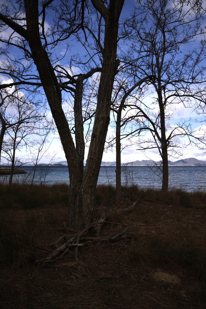 荒涼の海　①。。。！