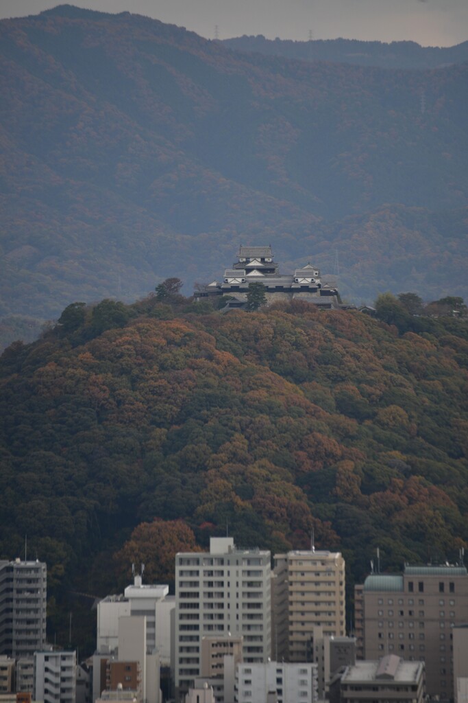 見下ろす松山　④。。。！