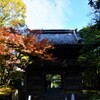 山門の紅葉。。。！